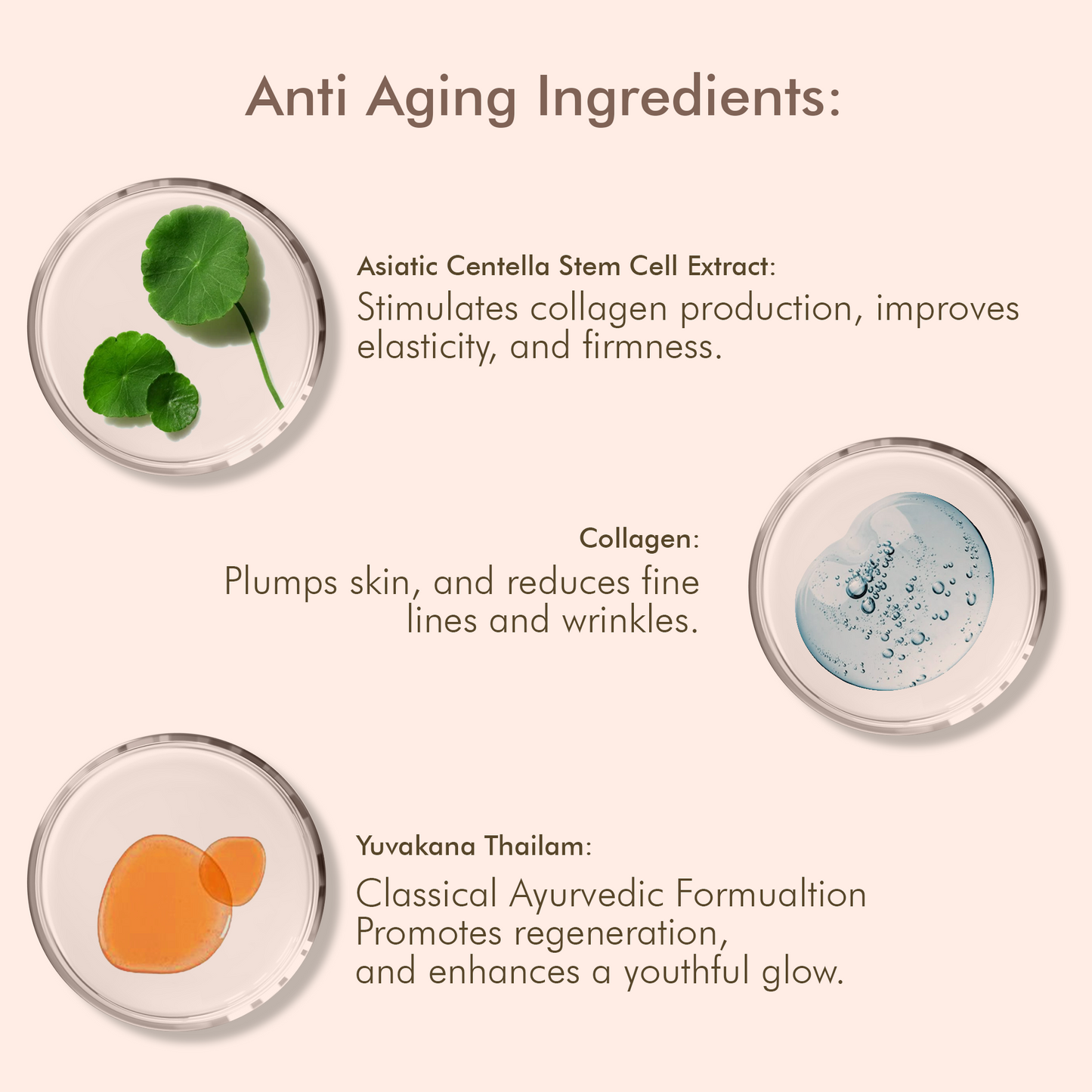 Olive Squalene Age Defying Night Cream with 24K Gold & Ceramides