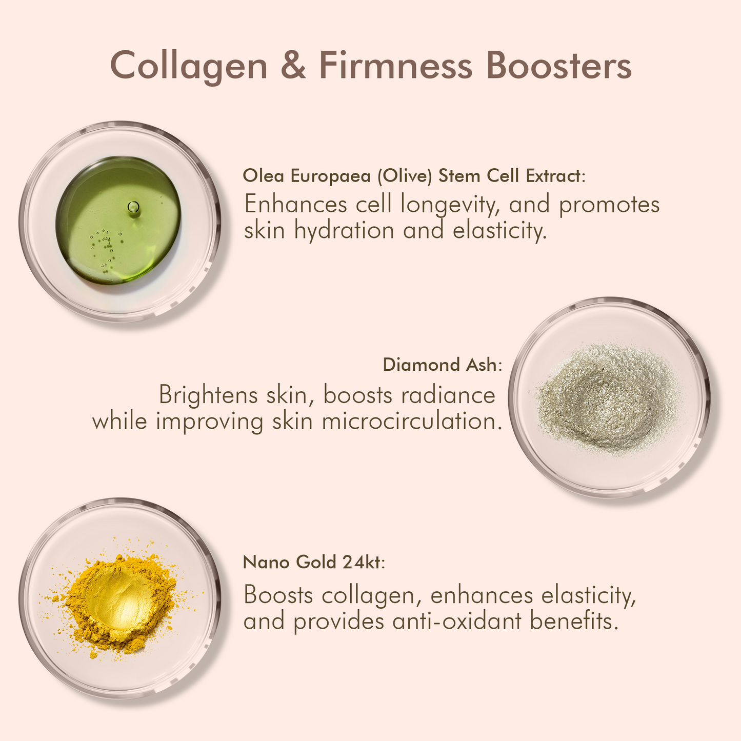 Olive Squalene Age Defying Night Cream with 24K Gold & Ceramides