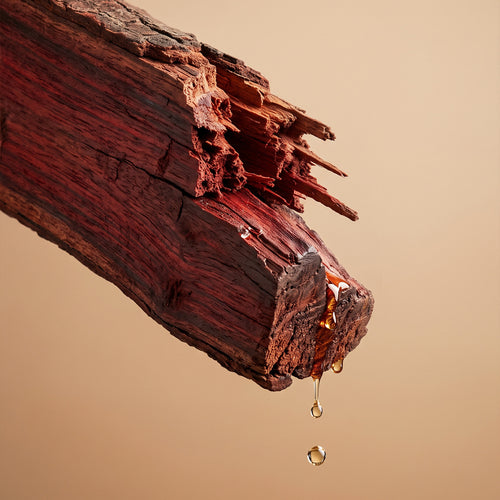 Rakta Chandan (Red Sandalwood) 