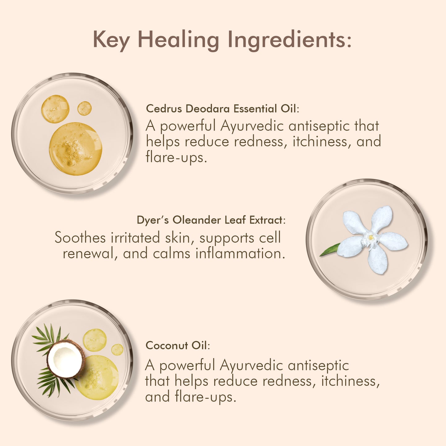 Oleander's Oil for Psoriasis, Eczema, and Atopic Dermatitis