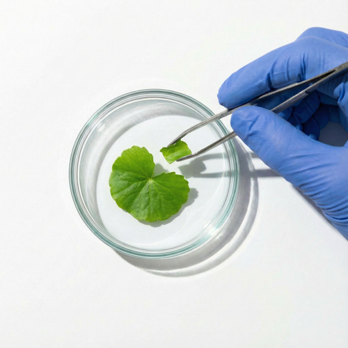 Cica Stem Cell Complex 