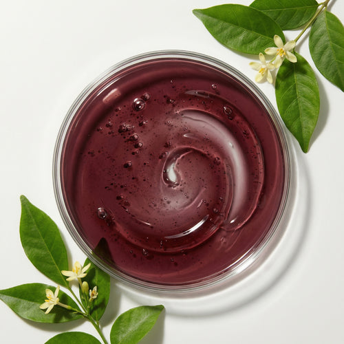 Indrajau Leaf Extract 