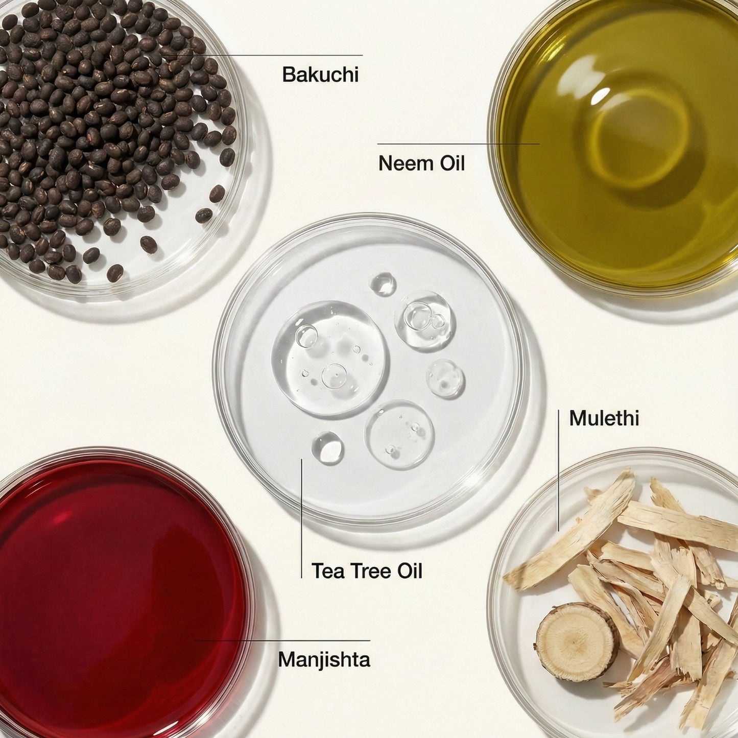 Vedicderm Psoriasis Cream with 2% Bakuchi Extract - New and Improved Pack