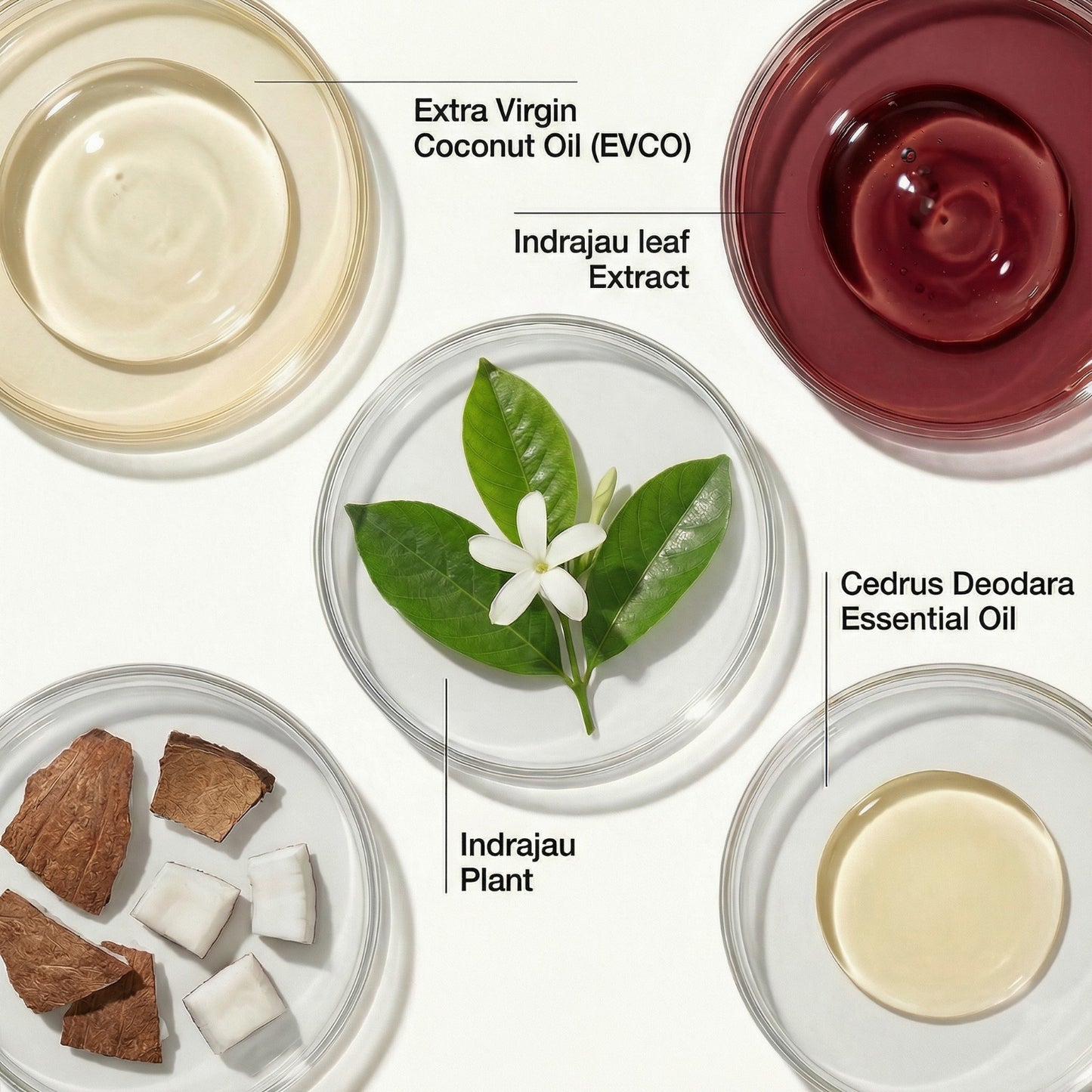 Vedicderm Psoriasis Oil | 2-in-1 Skin + Scalp Relief Oil