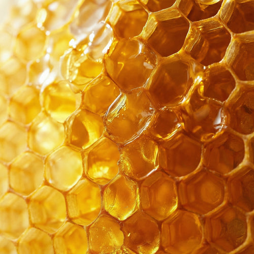 Multifloral Forest Honey