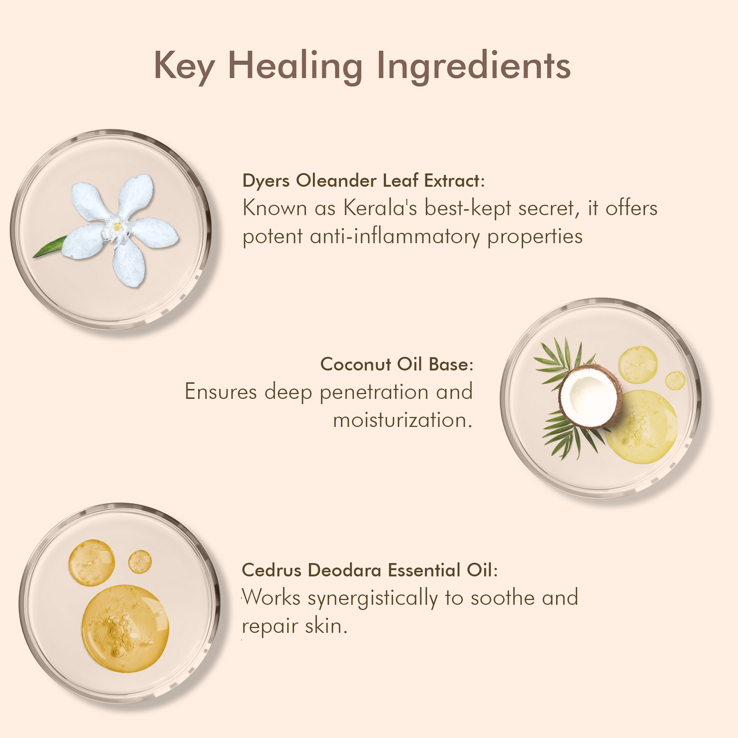 Oleander's Oil for Psoriasis, Eczema, and Atopic Dermatitis