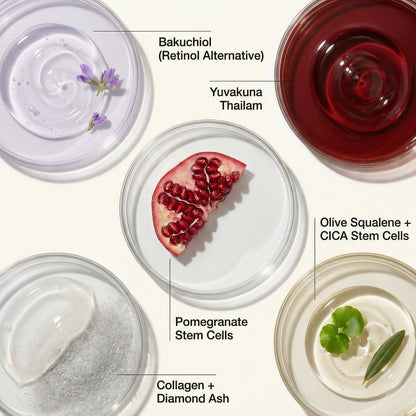 Olive Squalene Age Defying Night Cream with 24K Gold & Ceramides