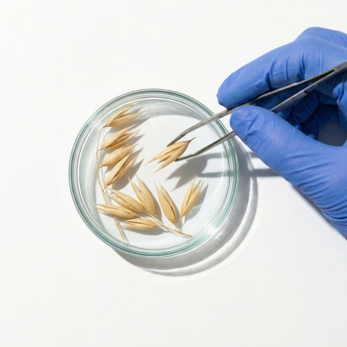 Probiotic Silk & Oat Proteins