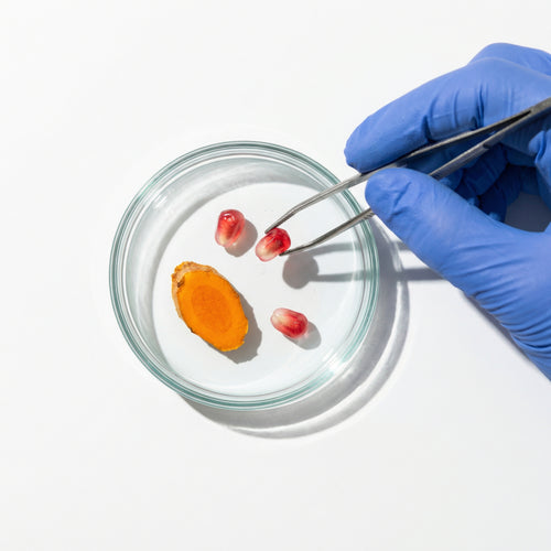 Pomegranate–Turmeric Stem Cell Complex
