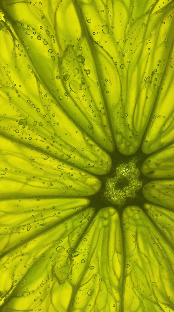 Sun-Activated Phyto System™